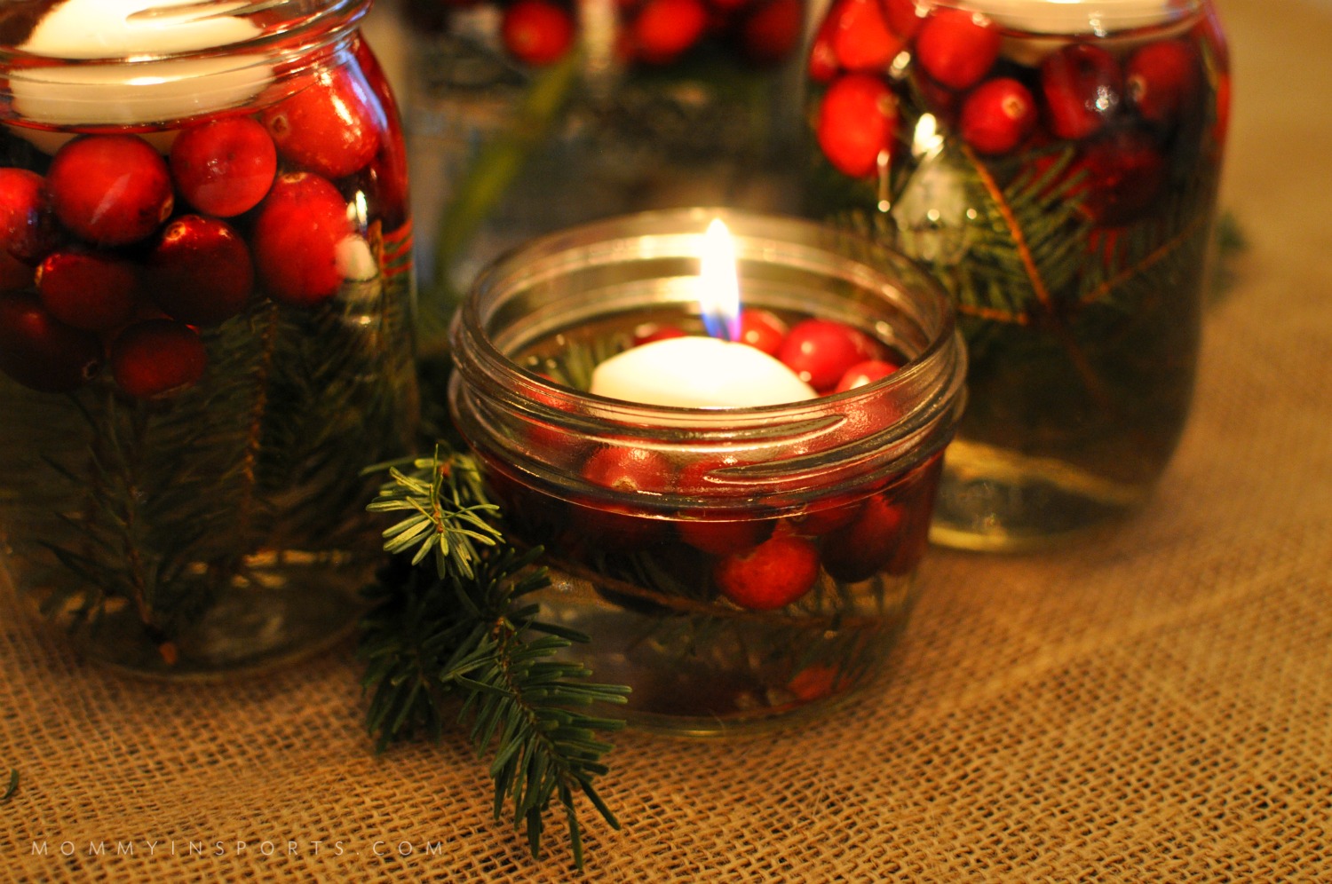 Mason Jars are perfect to use for a holiday centerpiece! Fill them with flowers, cranberries, evergreen clippings, or even pine cones for a pretty DIY holiday centerpiece!
