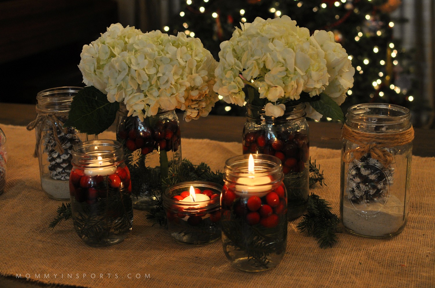Mason Jars are perfect to use for a holiday centerpiece! Fill them with flowers, cranberries, evergreen clippings, or even pine cones!